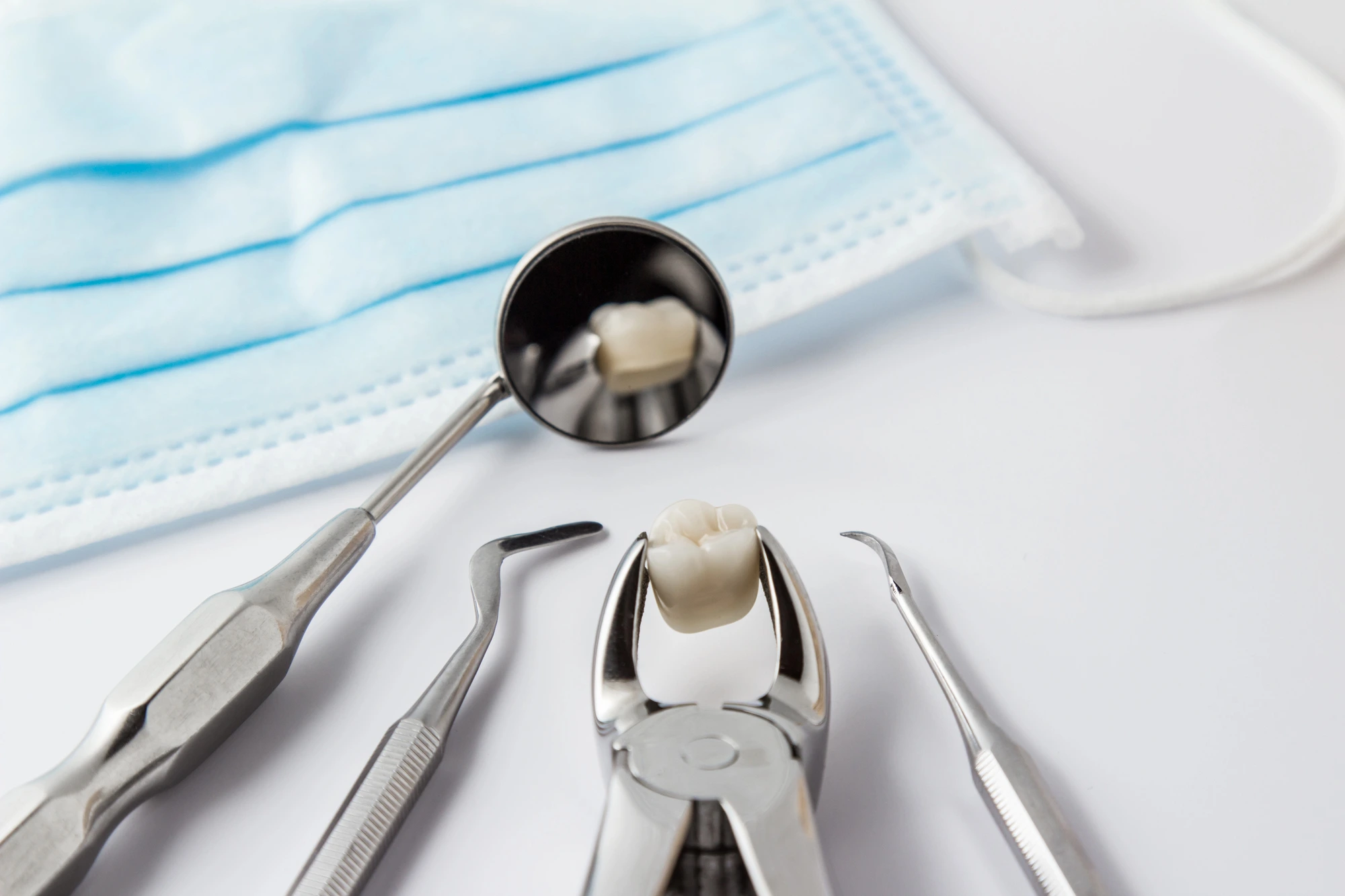 dental tools holding a tooth after a tooth extraction in Leesburg, VA