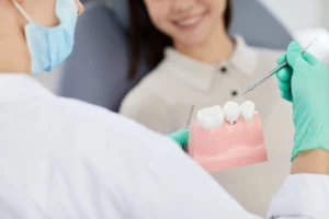 dentist showing patient a plastic model to discuss same day crowns in Leesburg, VA